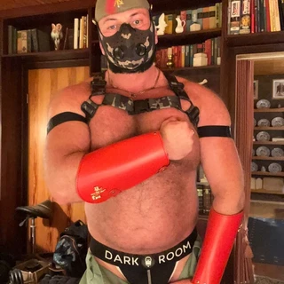Macho Bull