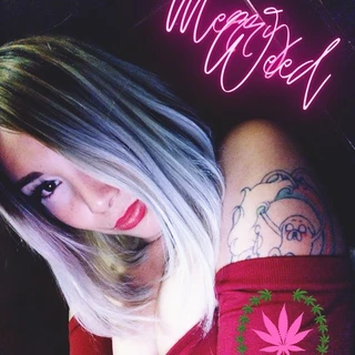Cherry 🍒