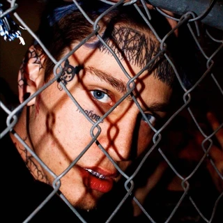 Maxwell Menace