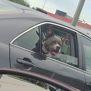 Jr