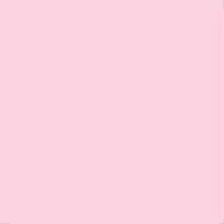 มินชิ 🌷