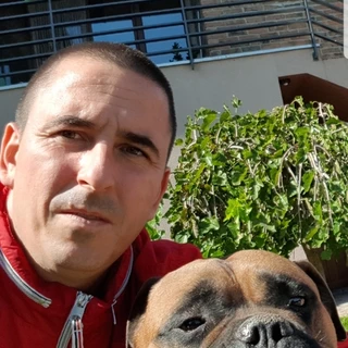 Doggydog