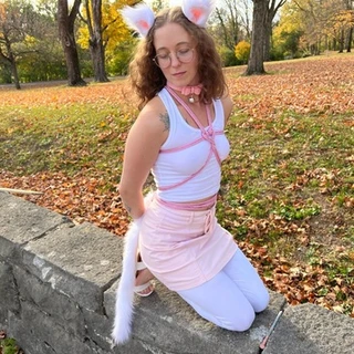 °˖✧Miss Kitten V✧˖°