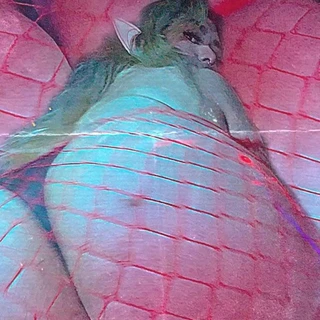 ☠︎︎ ︎𝚖𝚒𝚜𝚜𝚜𝚔𝚊𝚝𝚝𝚝.𝟽𝟽𝟽𝙵𝚁𝙴𝙴