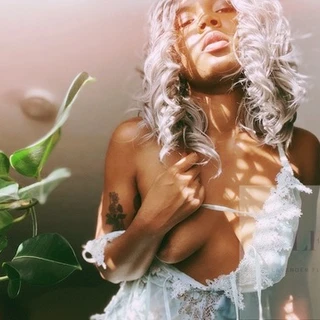 Lavender Flower FREE VIDEO TO NEW SUBS
