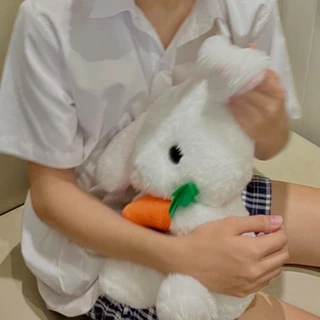 Monkub