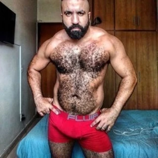 Musclebearbrazil