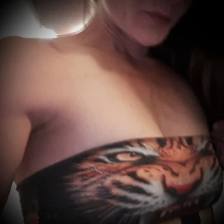 Golden Tigre