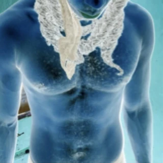 NastyDomTop
