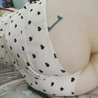 Kitten