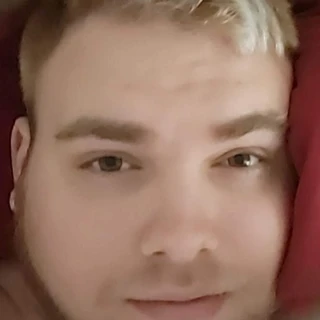 PigBearOddly
