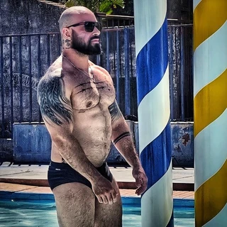 🦍 ᴏ ɢ ᴏ ʀ ɪ ʟ ᴀ 🇧🇷