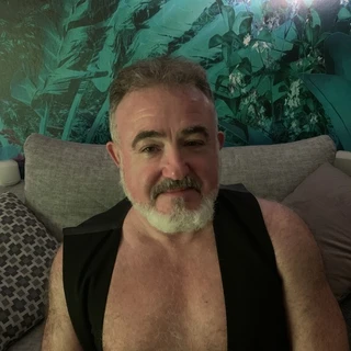 Silver bear