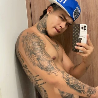 Palomino.29