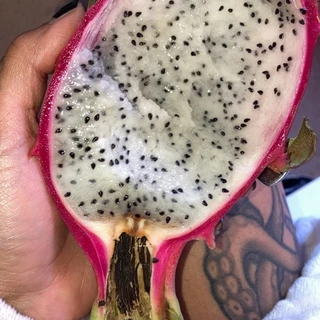 PinkCactusBits