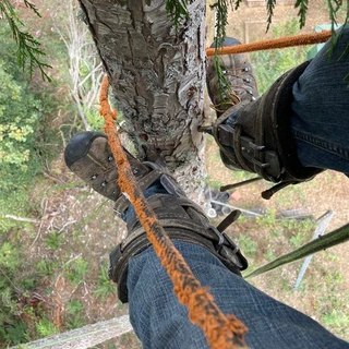 PNW Timber Snack