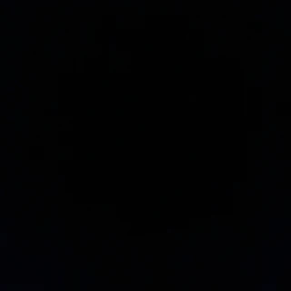 POV Savage