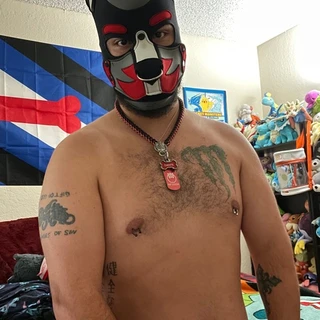 Pup Danté