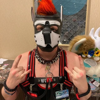 Pup Dax