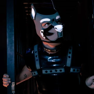 Pup_Diego