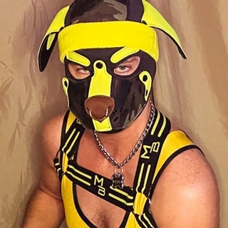 Pup Evans