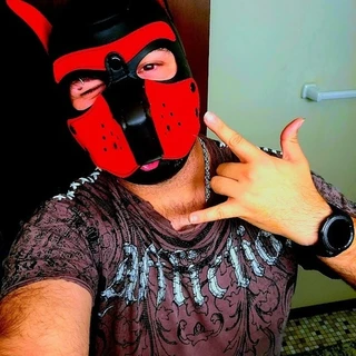 Arkham Falcon