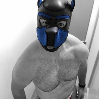 🐾PupMax🐾