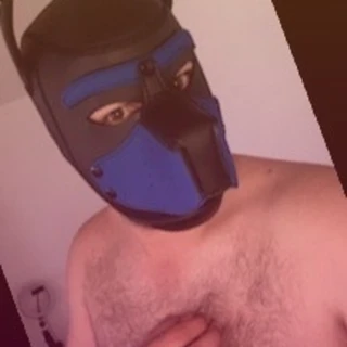 Puppy
