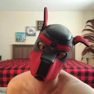 Pupster D