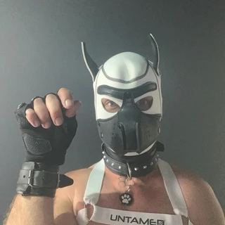 PUP Titan