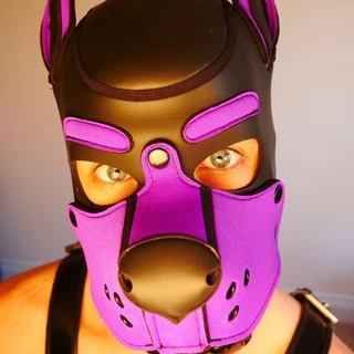 Loki The Purple Rubber Pupper
