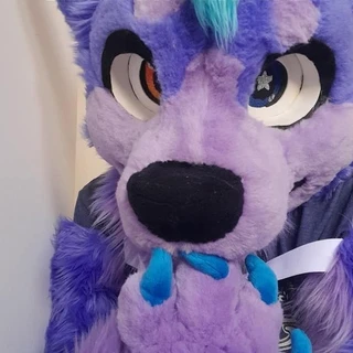 Purpy DA Husky