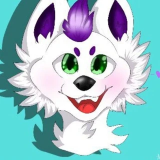 Rasmus Husky