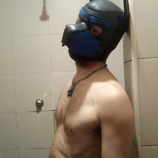 pup_Regaleiro