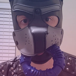 Pup Raff