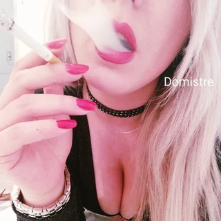 Domistre