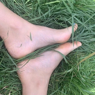 Sarah’s Sole