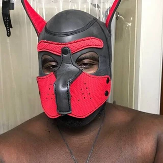 Sebby The Alpha Pup