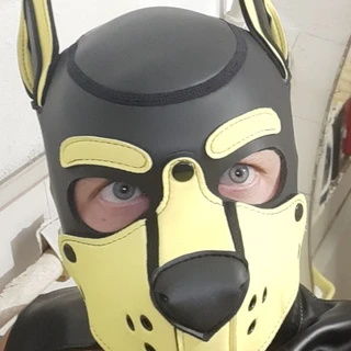 Sem