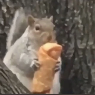 🤟