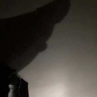 Sexy in the shadow