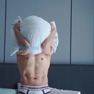 𝐒 𝐇 𝐈 𝐄 𝐋 𝐃