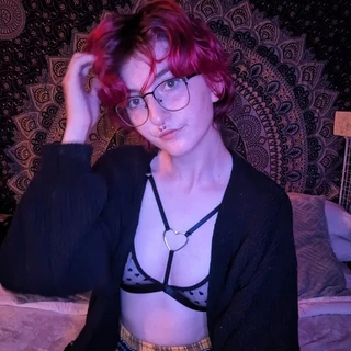 Dumb lil dolly