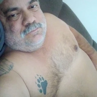 Urso🏳️‍🌈🇧🇷🐻