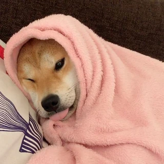 💋