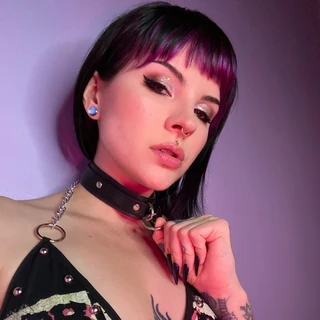 Salem Wolfe VIP 💜