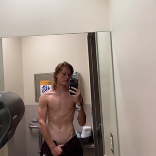Stallion