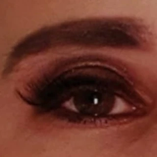 Stephanietravesti