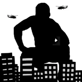 STUDIO AKIRA