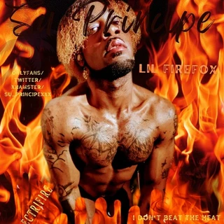 Su_PrincipeXXX